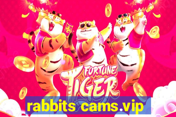 rabbits cams.vip